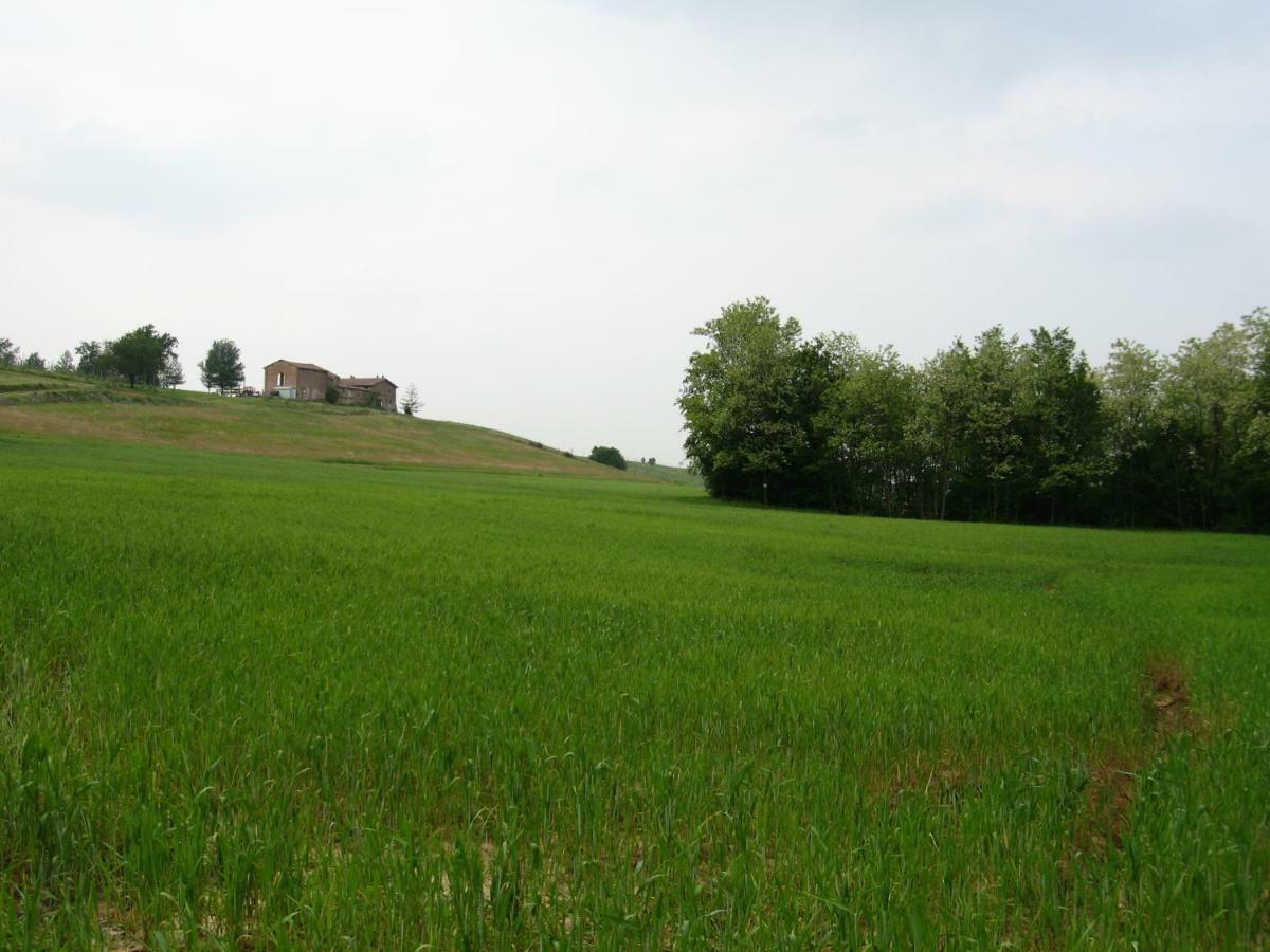 Agriturismo Ca' Preda Villa San Giorgio Piacentino Exterior foto