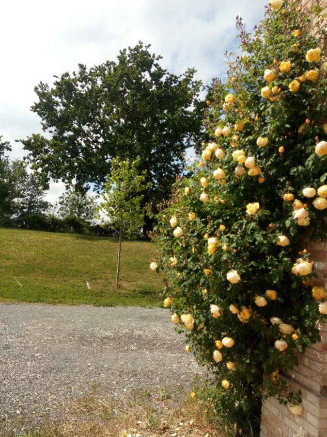 Agriturismo Ca' Preda Villa San Giorgio Piacentino Exterior foto